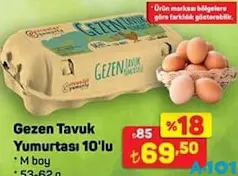 GEZEN TAVUK YUMURTASI 10'LU M BOY 53-62 G